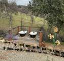 9390 Platina Road - Photo 26