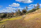 10249 Carrousel Drive - Photo 5