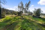 21484 Driftwood Trail - Photo 30