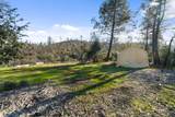 21484 Driftwood Trail - Photo 32
