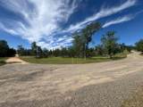 15203 Diggins Way - Photo 15