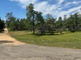 15203 Diggins Way - Photo 16