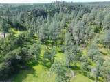 15203 Diggins Way - Photo 6