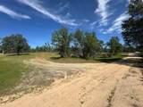 15203 Diggins Way - Photo 9