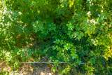  116 Acres 041-300-024 - Photo 25