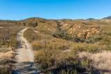  116 Acres 041-300-024 - Photo 4