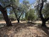 12333 Quartz Hill Road - Photo 10