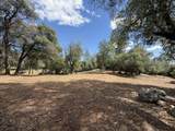 12333 Quartz Hill Road - Photo 11