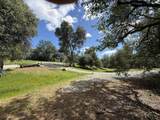 12333 Quartz Hill Road - Photo 13