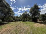 12333 Quartz Hill Road - Photo 16