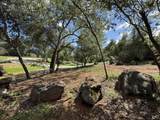 12333 Quartz Hill Road - Photo 19