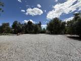 12333 Quartz Hill Road - Photo 4