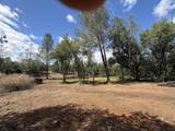12333 Quartz Hill Road - Photo 6