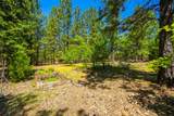 10648 Honey Bear Lane - Photo 25