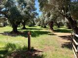 5572 Olive Street - Photo 1