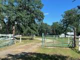 16630 Evergreen Road - Photo 3