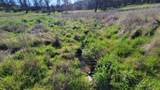 Lot 65 Gogo Road - Photo 3
