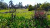 17435 Lassen Avenue - Photo 5