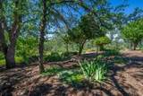 19425 Bonanza King Drive - Photo 45