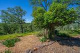 19425 Bonanza King Drive - Photo 47
