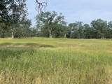  Jim Dandy Road - Photo 3