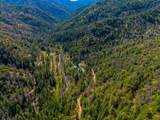 8916 Reading Creek Road - Photo 44