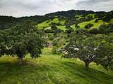 6115 Morgan Territory Road - Photo 36