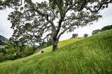 6115 Morgan Territory Road - Photo 44