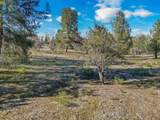 43007 Shoshoni Loop - Photo 86