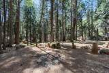 30821 Tinkerbell Lane - Photo 22