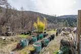 14925 Trinity Mountain Road - Photo 49