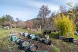 14925 Trinity Mountain Road - Photo 50