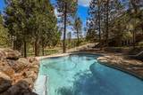 9991 Ponderosa Way - Photo 3