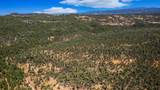 9991 Ponderosa Way - Photo 72