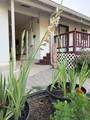 12173 Kawliga Lane - Photo 26