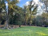 12173 Kawliga Lane - Photo 4
