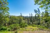17526 Yellow Pine Road - Photo 38