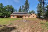 29153 Cow Creek Road - Photo 51
