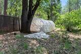 29153 Cow Creek Road - Photo 55