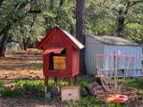 29153 Cow Creek Road - Photo 70