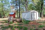 29153 Cow Creek Road - Photo 71