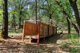 29153 Cow Creek Road - Photo 74