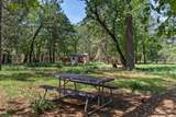 29153 Cow Creek Road - Photo 75