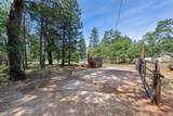 29153 Cow Creek Road - Photo 78