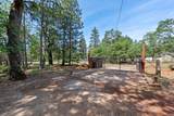 29153 Cow Creek Road - Photo 79