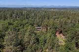 29153 Cow Creek Road - Photo 92