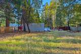 30750 Bambi Drive - Photo 38