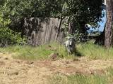 2100 Vallecito Court - Photo 4