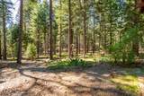 30481 Rl Smith Logging Road - Photo 27
