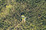 30481 Rl Smith Logging Road - Photo 4